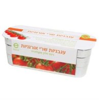 מתנה לגבר אישה גינה