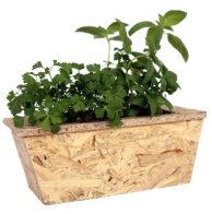 מתנה לבית משרד