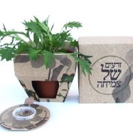 מתנה לבית למשרד