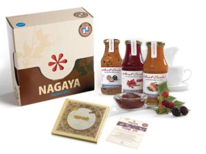 מתנה מארז לחג