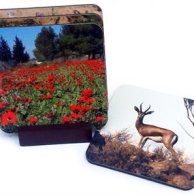 תחתיות מתנה