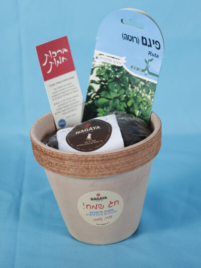 מתנה לטו בשבט - ערכת שתילה בעציץ חרס