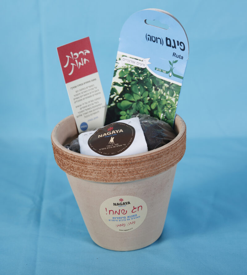 מתנה לטו בשבט - ערכת שתילה בעציץ חרס