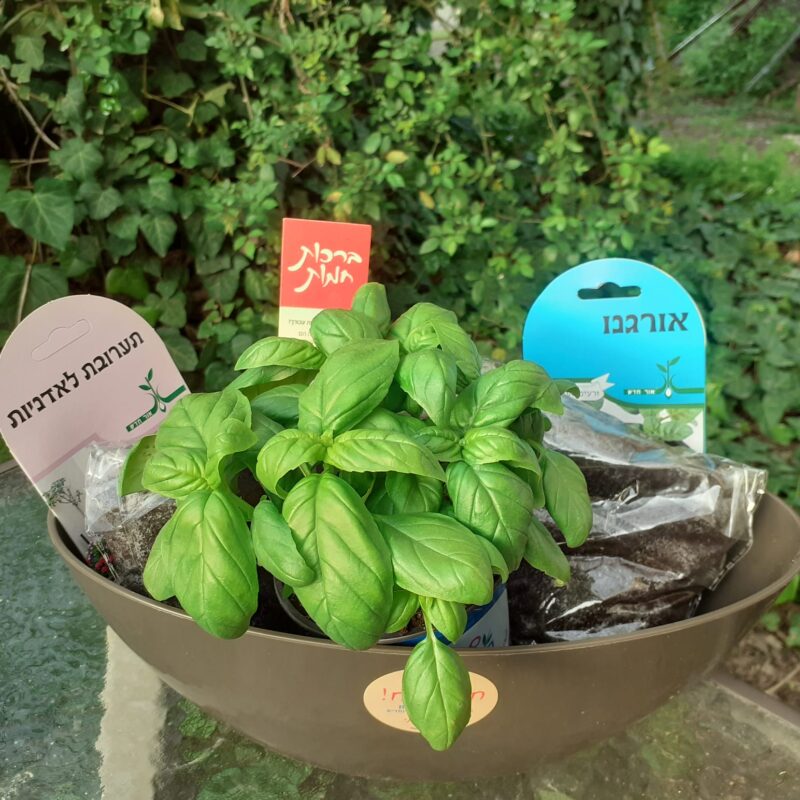 מפגש העשרה בתחום הגינון הביתי + ערכות שתילה