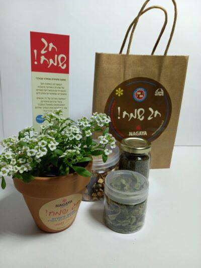 עציץ עונתי עם גרנולה וחליטות תה