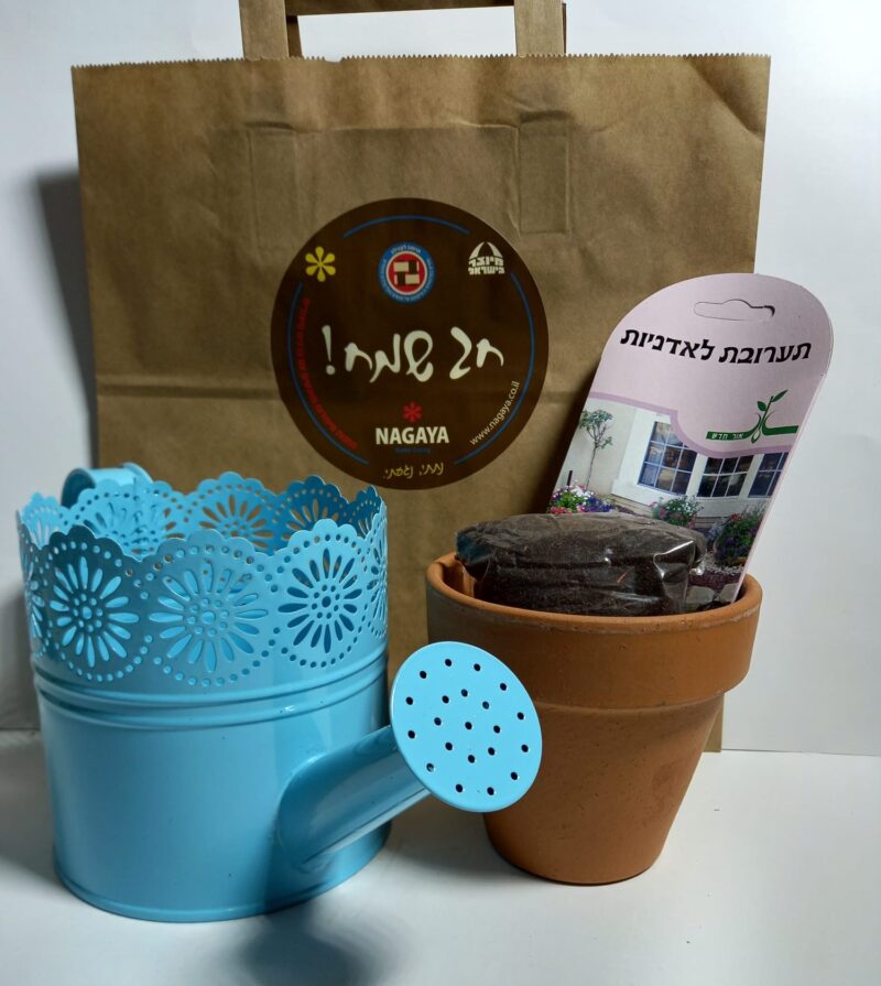 ערכת שתילה בעציץ חרס + משפך